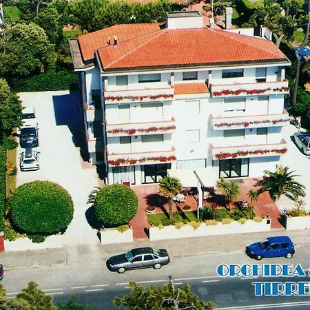 Orchidea Marina