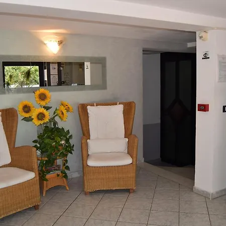 Orchidea Marina Tirrenia