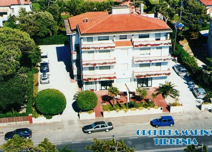 Orchidea Marina